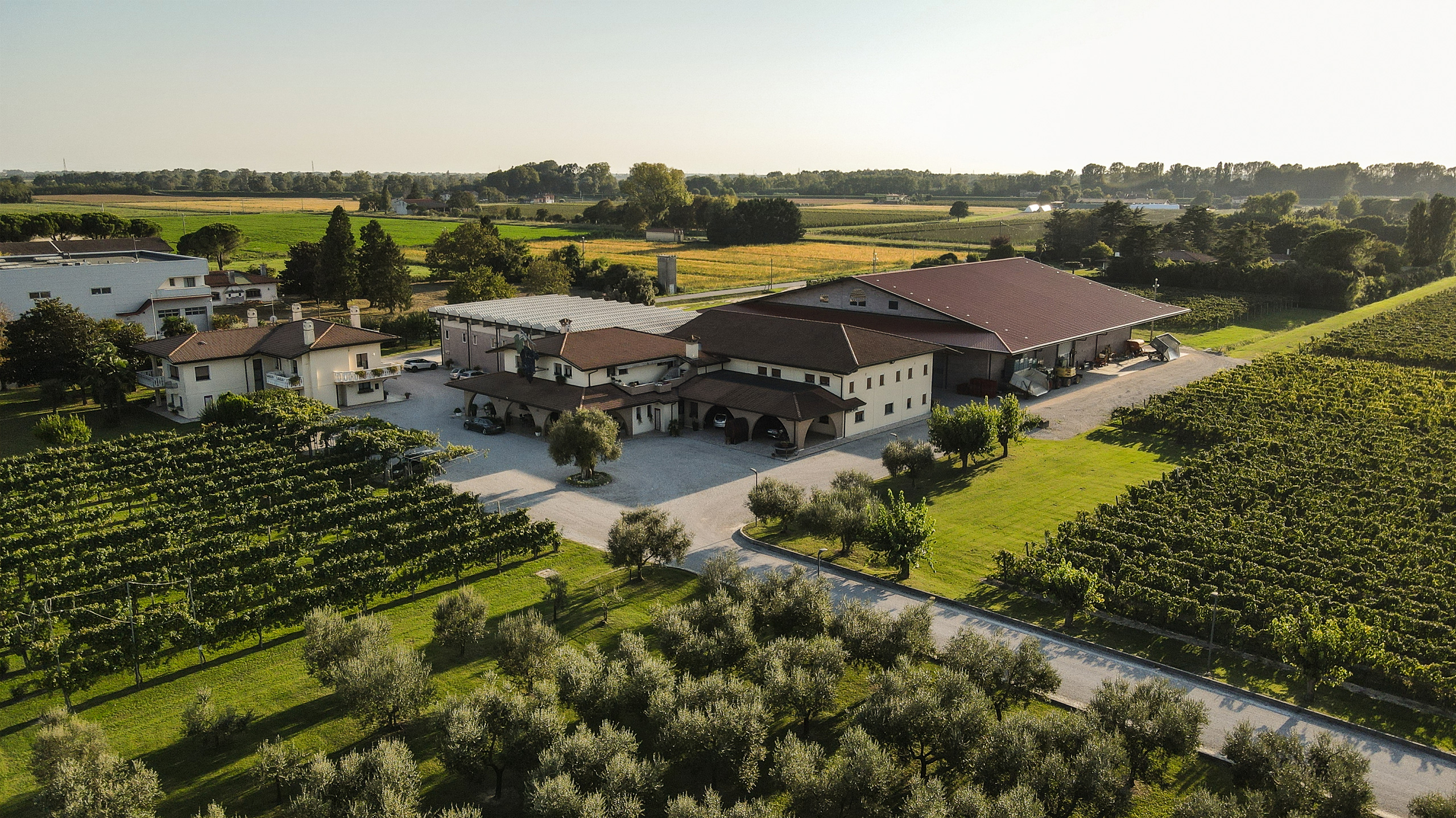 Festa della Vendemmia 2026